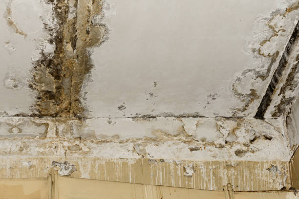 Water damage restoration insurance claims